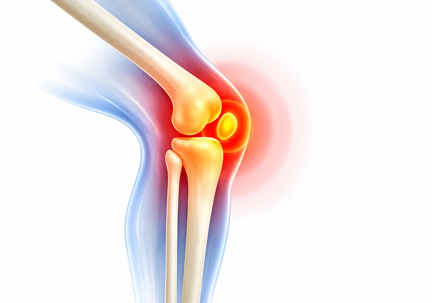 knee